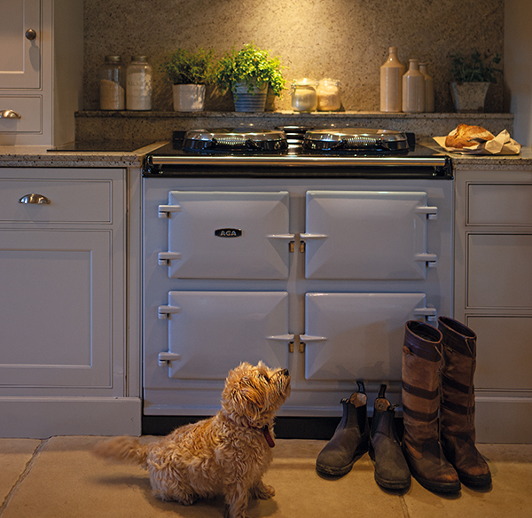 Dog and boots by the AGA