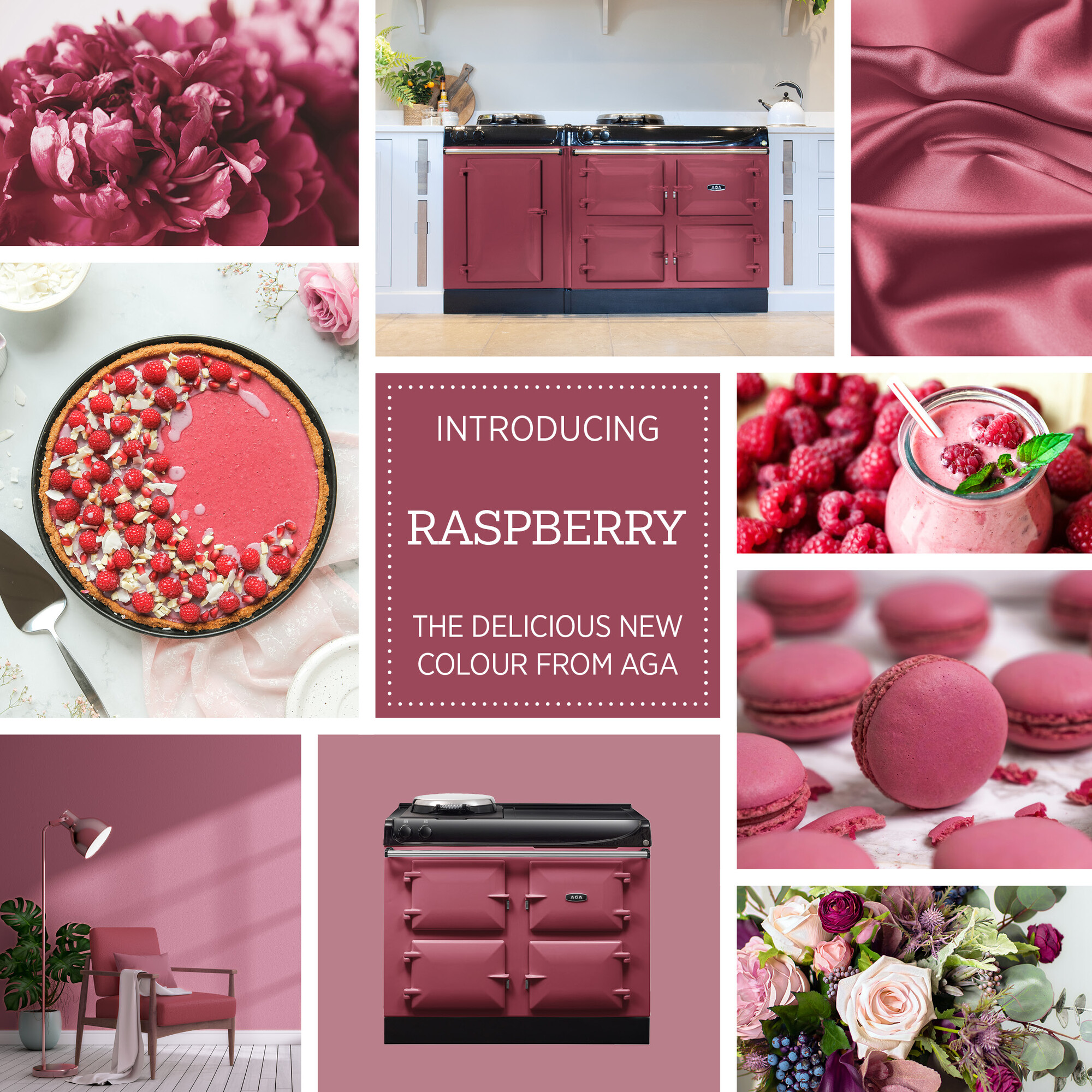Raspberry Inspiration
