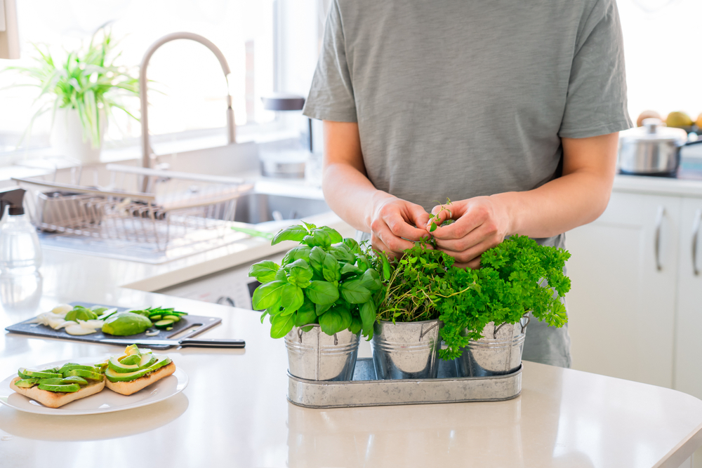 Homegrown Herbs in Kitchen