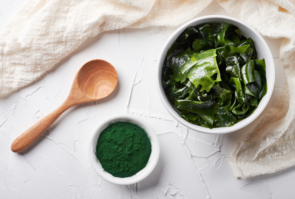 Kelp in bowl