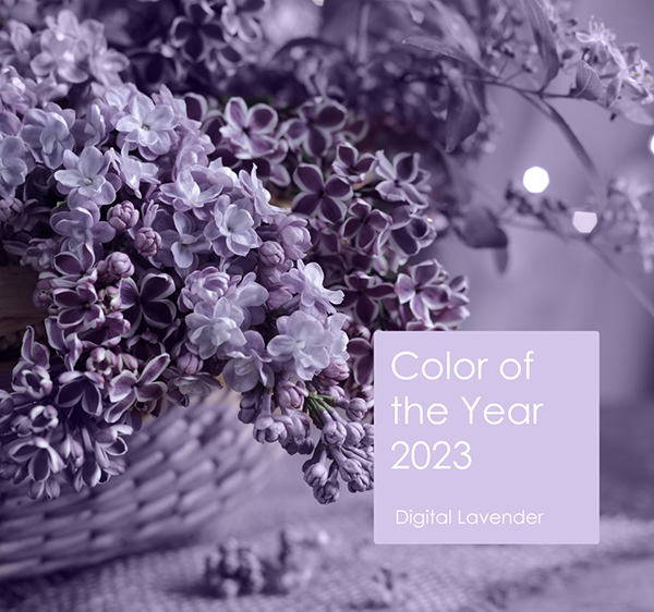 Digital Lavender 
