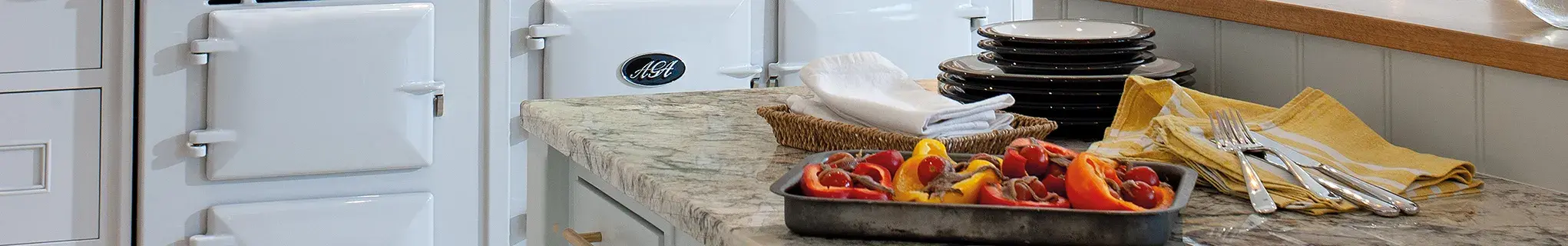 AGA Dual Control in Pearl Ashes 