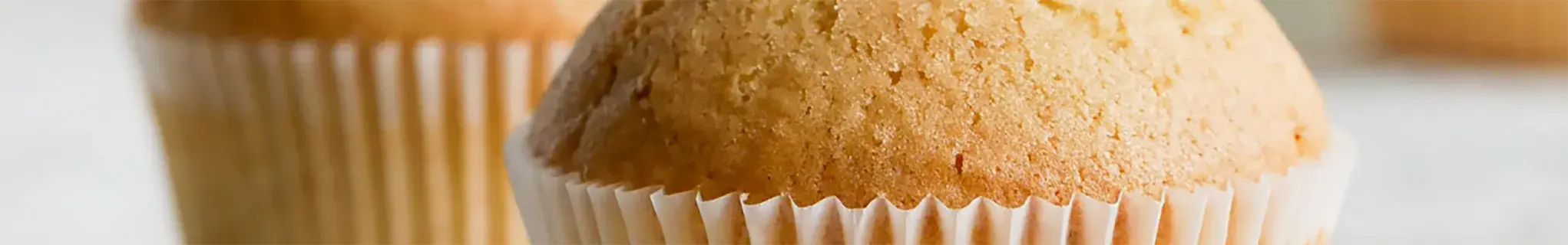 Elderflower cupcakes