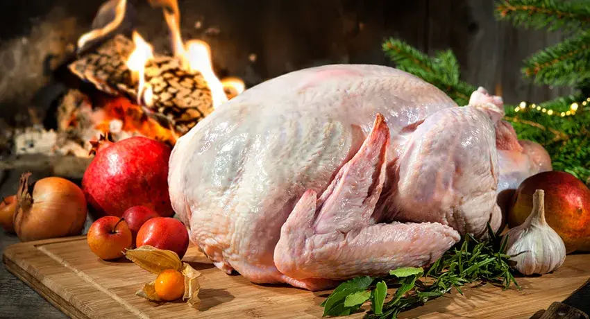 Raw turkey 