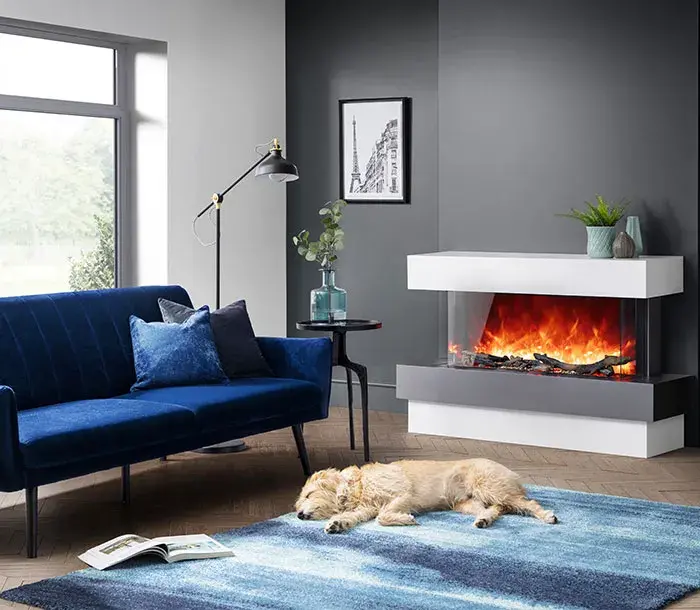 Dog sleeping in front of Rayburn Stratus Fire in contemporary living room 