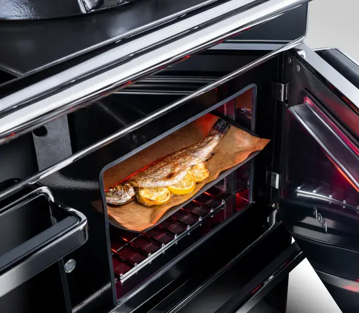 AGA ERA Fish - 2.1KW GRILL